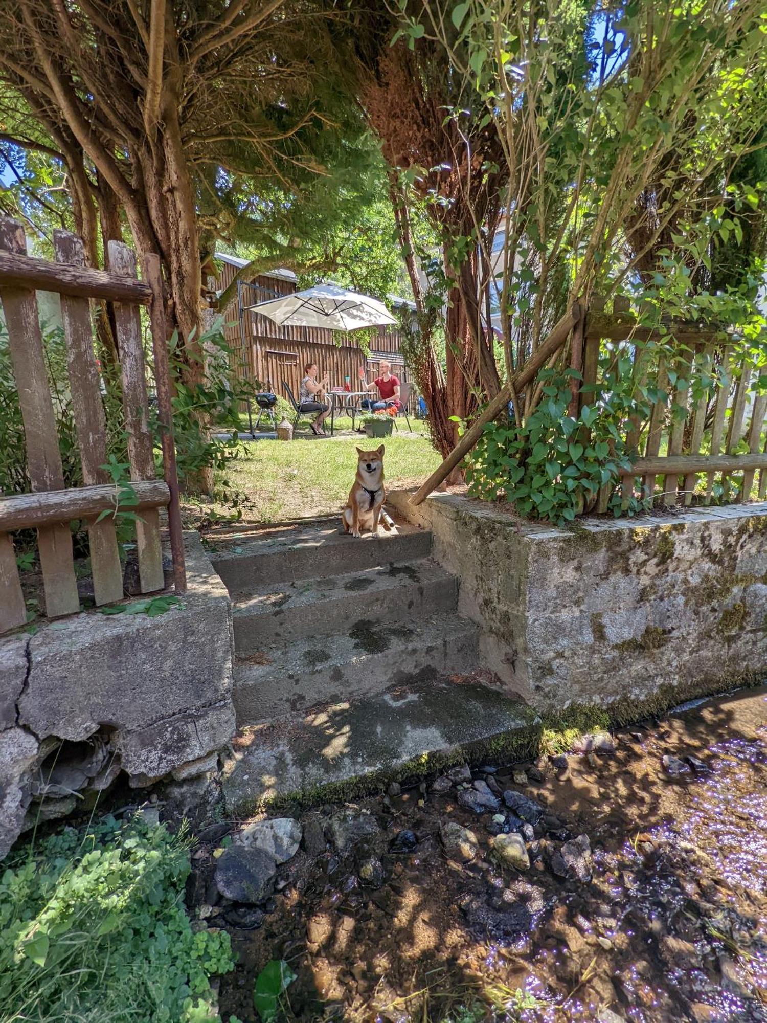 H2 - Urlaubsmagie - Garten, Pool, Terrasse, Grill Зебниц Экстерьер фото