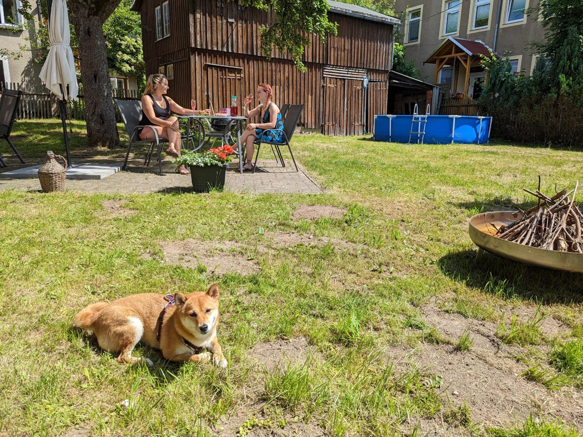 H2 - Urlaubsmagie - Garten, Pool, Terrasse, Grill Зебниц Экстерьер фото